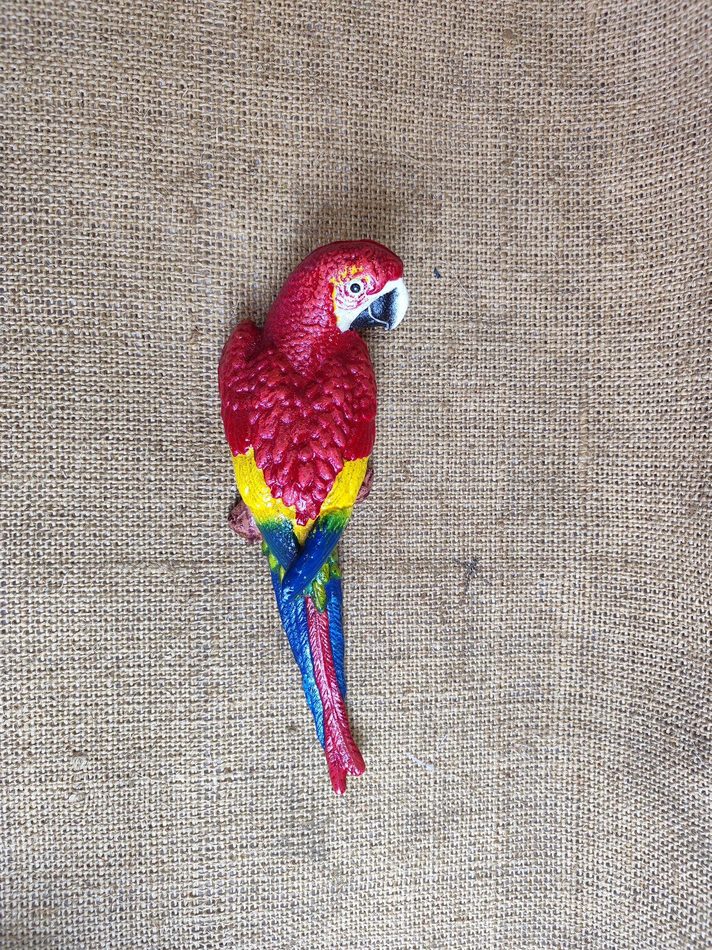 Wall Mount Parrot - right look