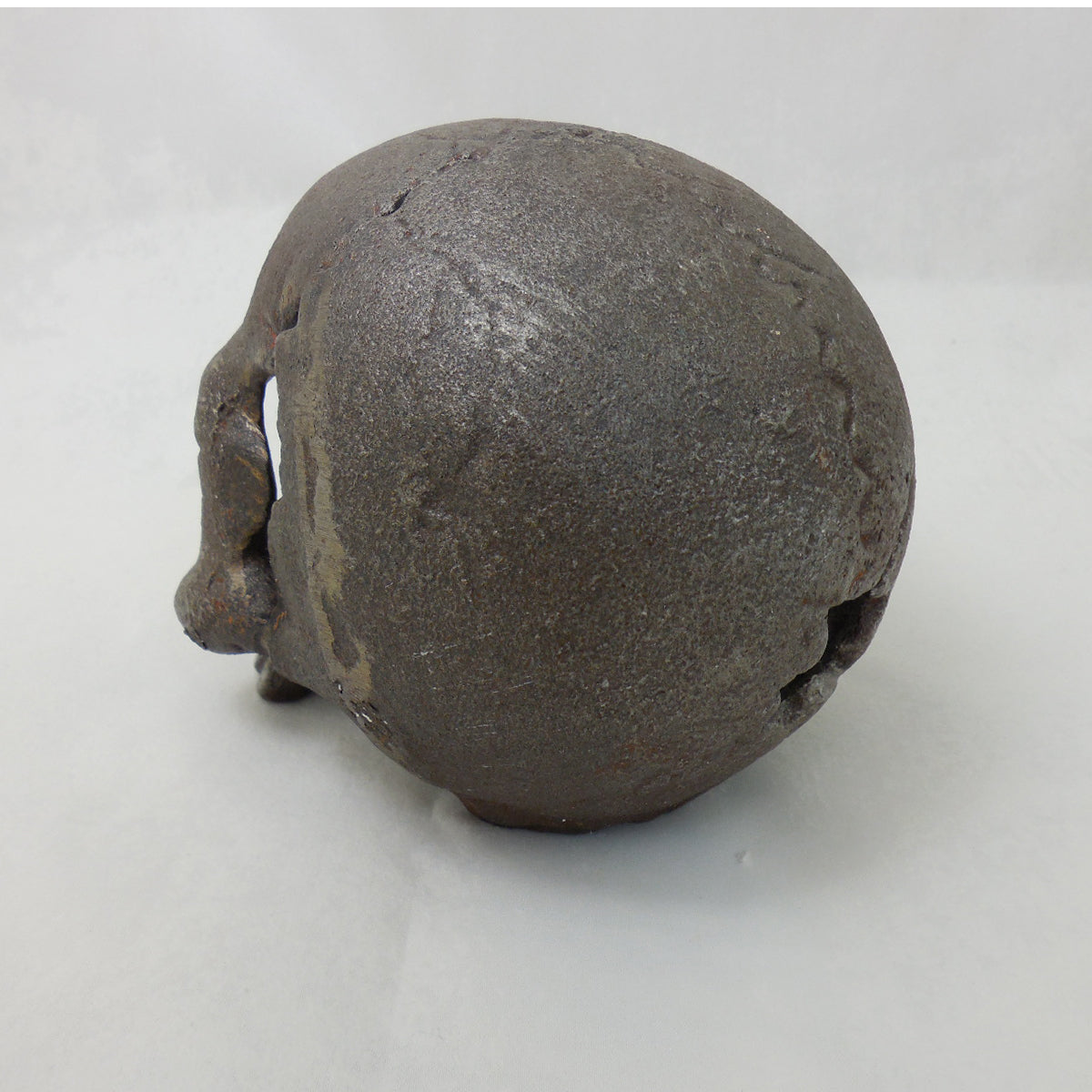Skull Paperweight / Bookend