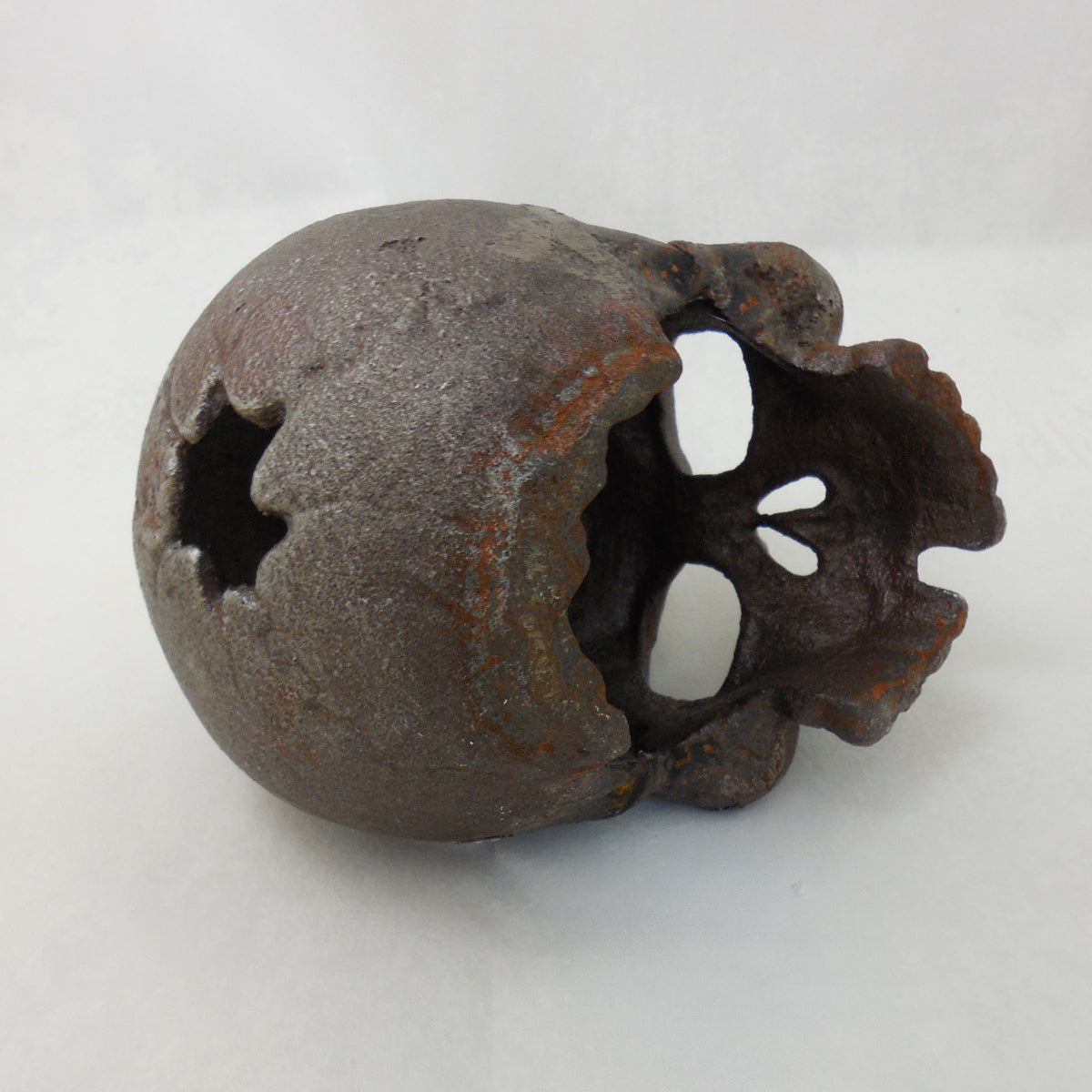 Skull Paperweight / Bookend