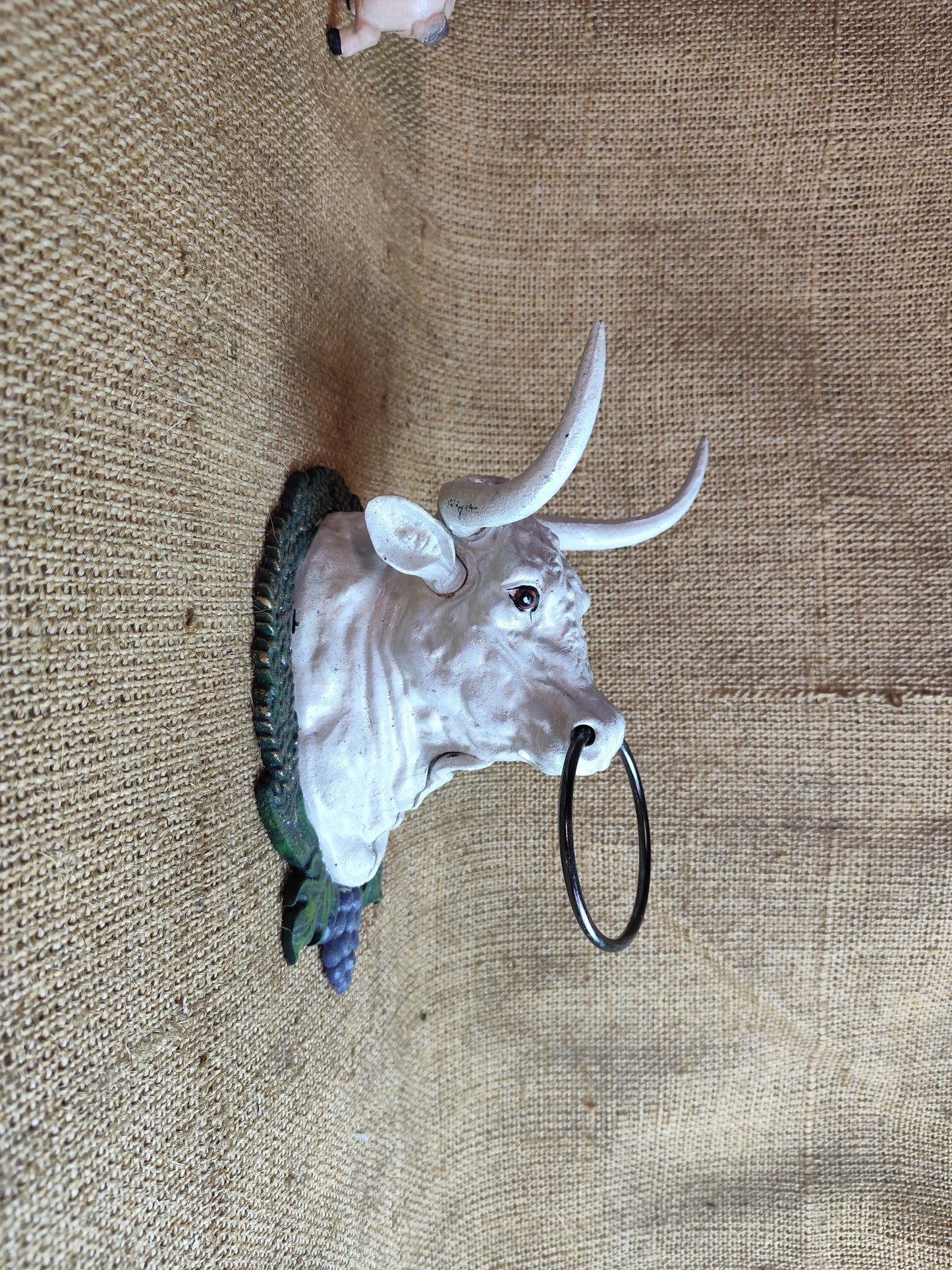 Cow  Head  W/Ring