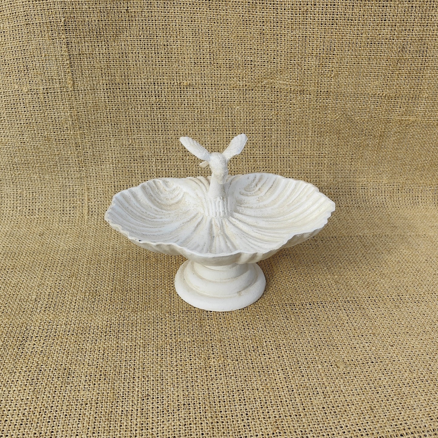 Single Bird Bath
