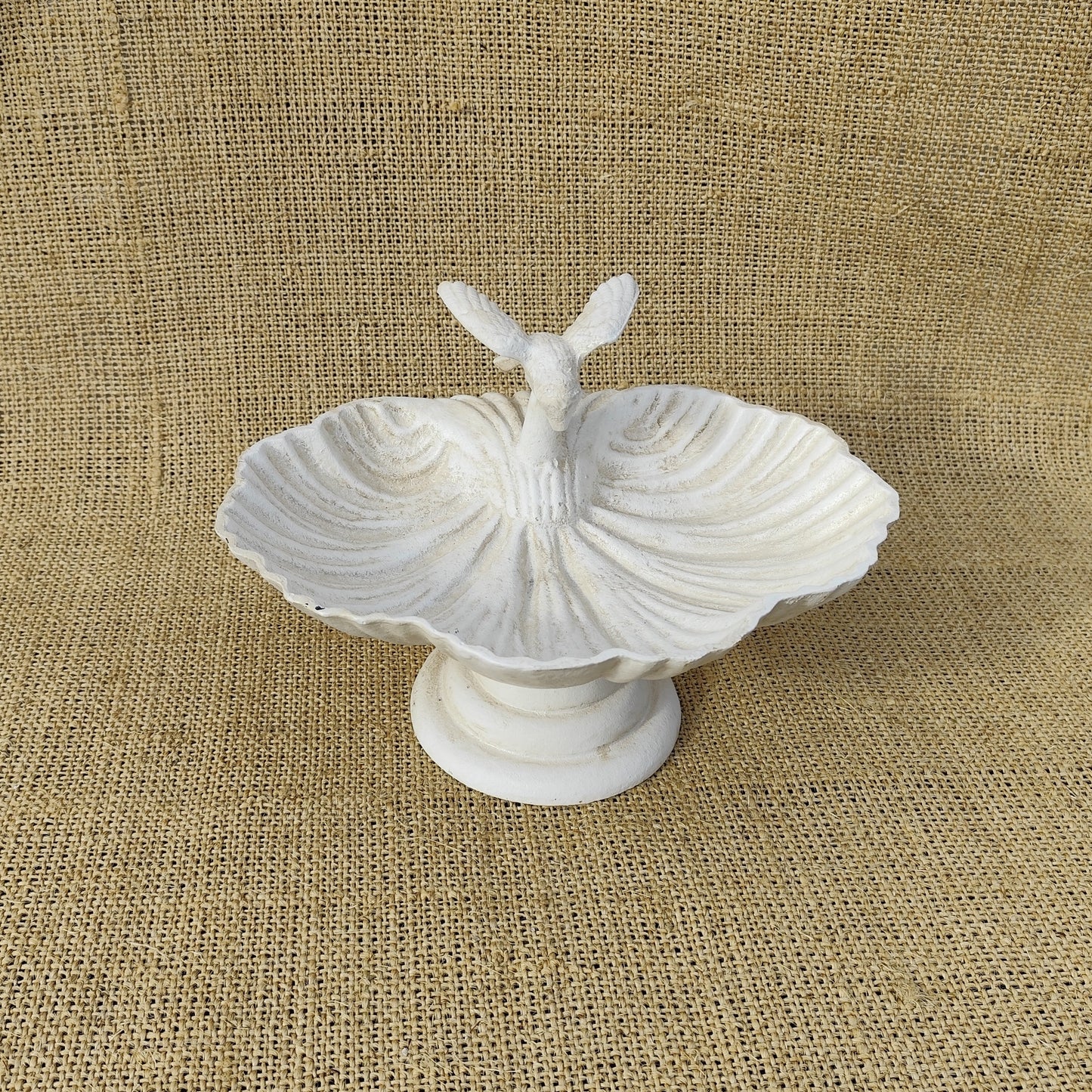 Single Bird Bath
