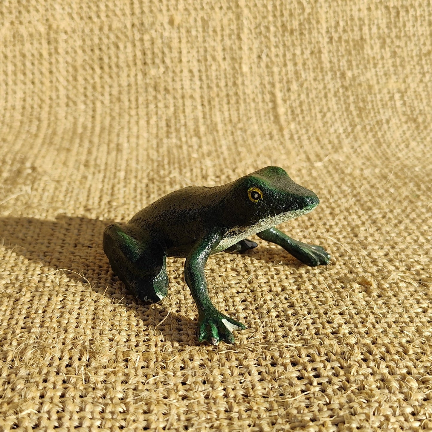 Small  Frog