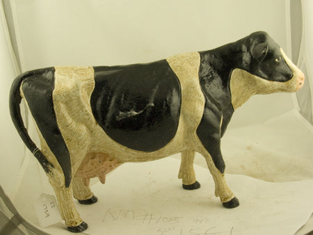 13" Cattle