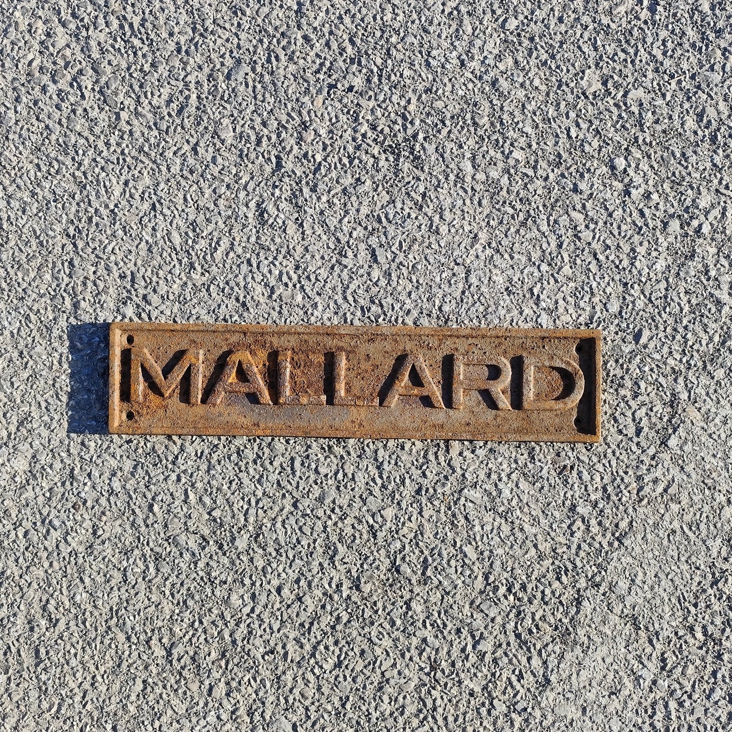 Mallard Sign