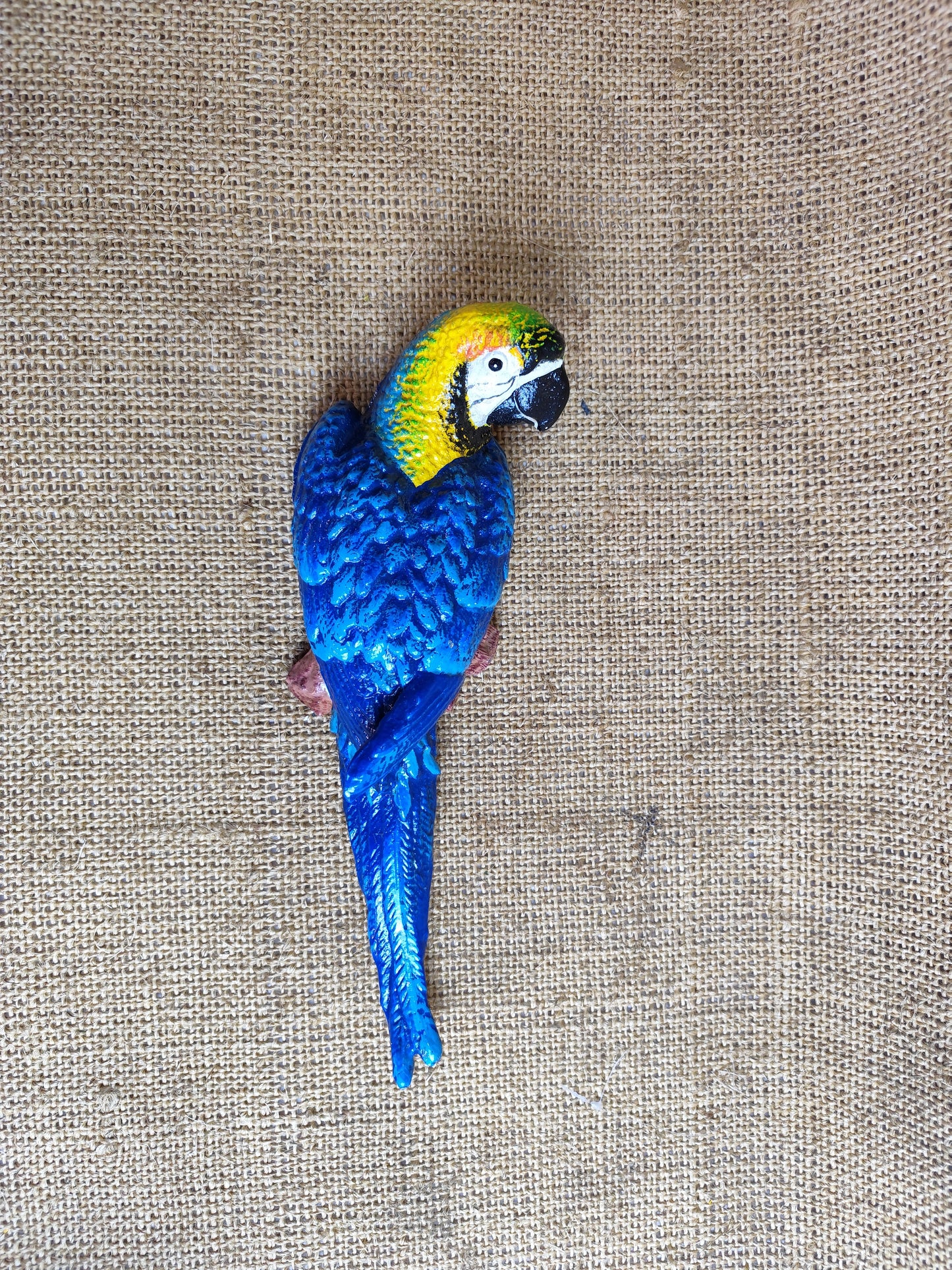 Wall Mount Parrot - right look