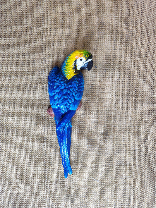 Wall Mount Parrot - right look