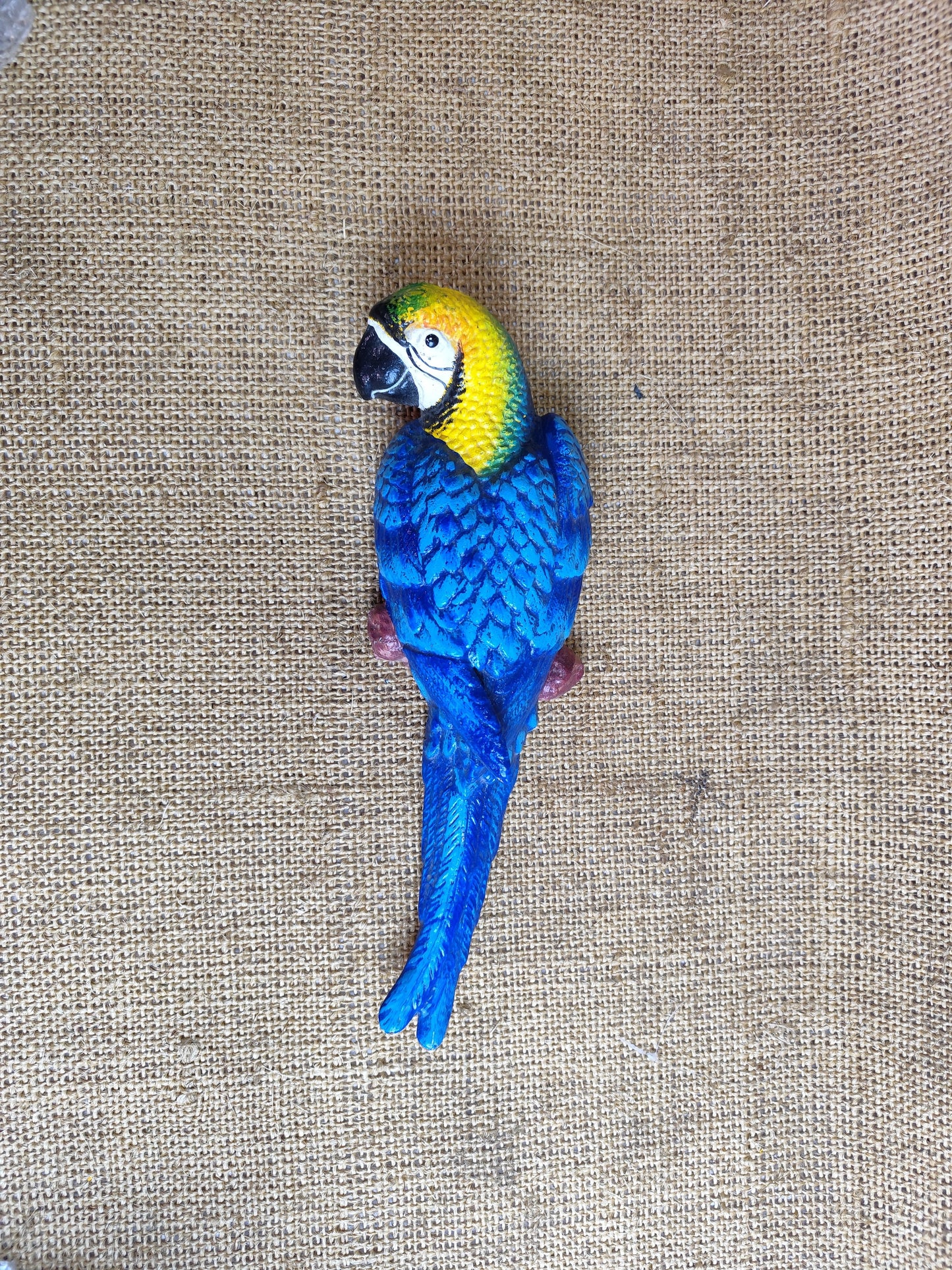 Wall Mount Parrot - left look