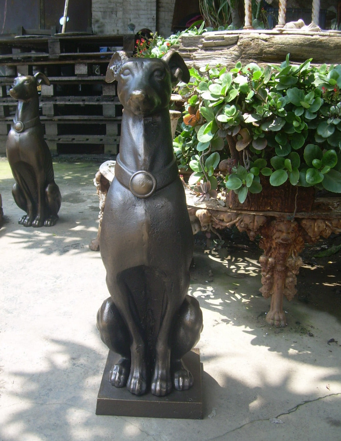 24" Greyhound with Base