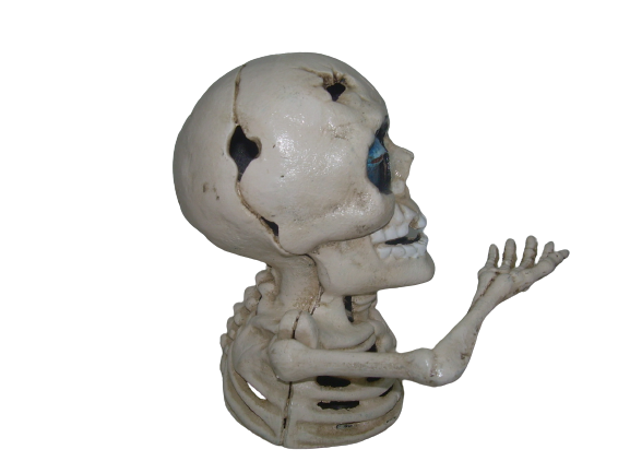 One Eye Skull Bank