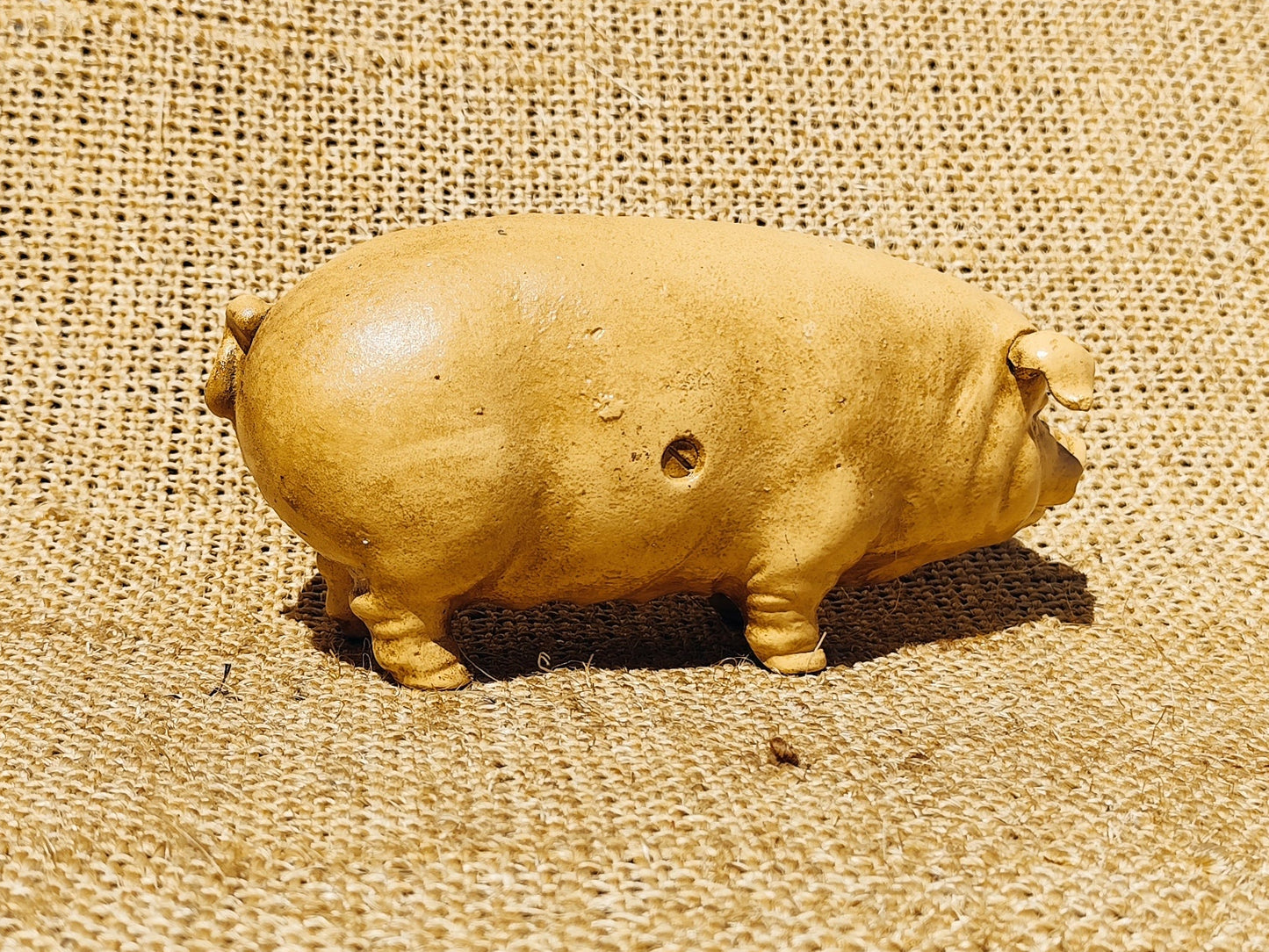 HAMS Female Pig Bank