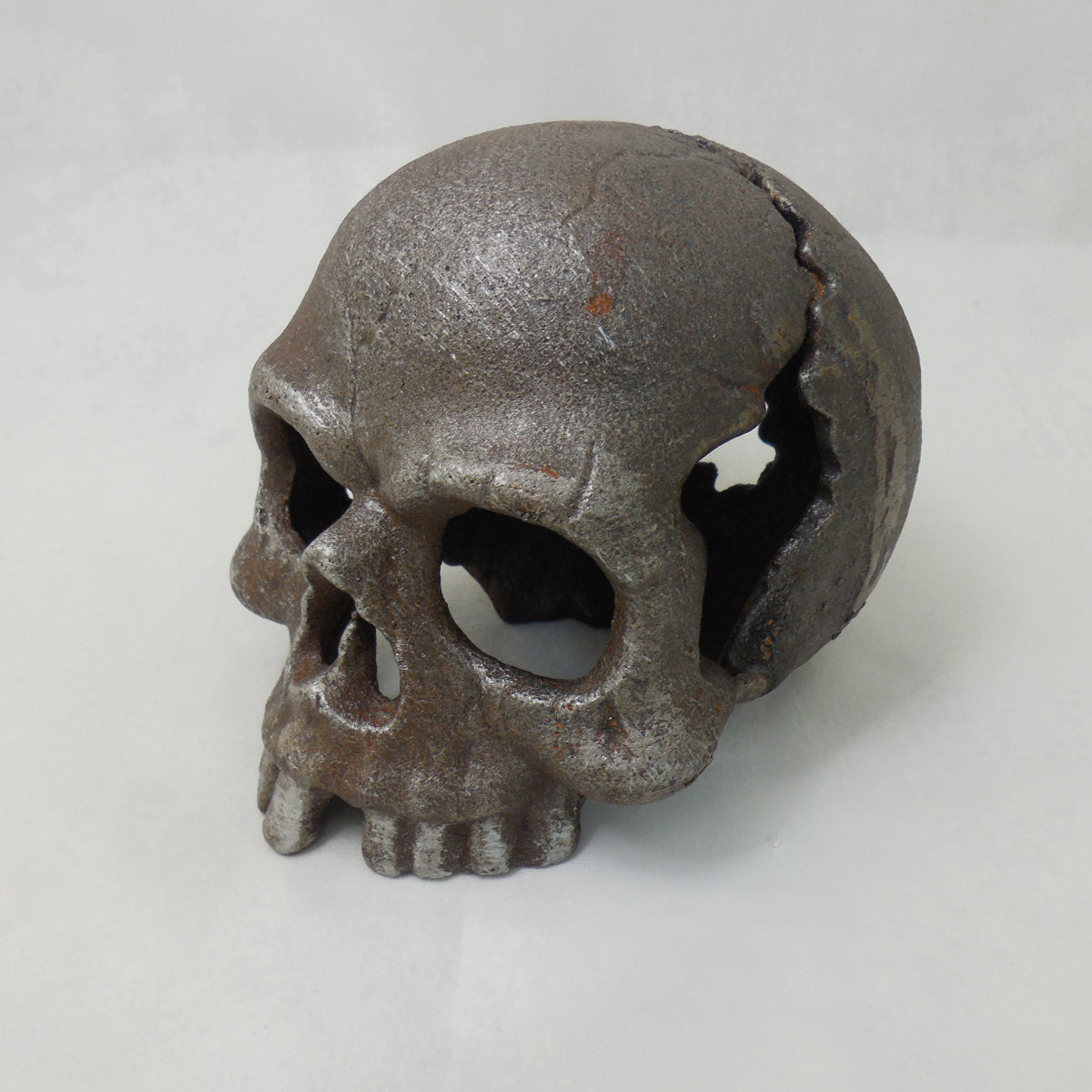 Skull Paperweight / Bookend