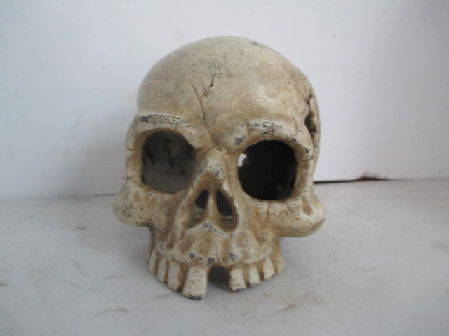 Skull Paperweight / Bookend