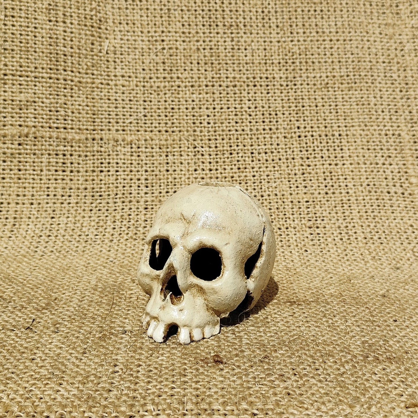 Skull Candle Holder