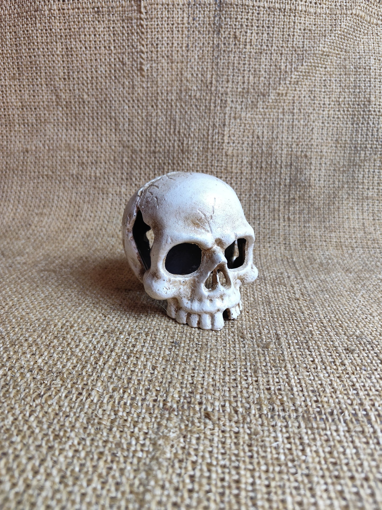Skull Candle Holder