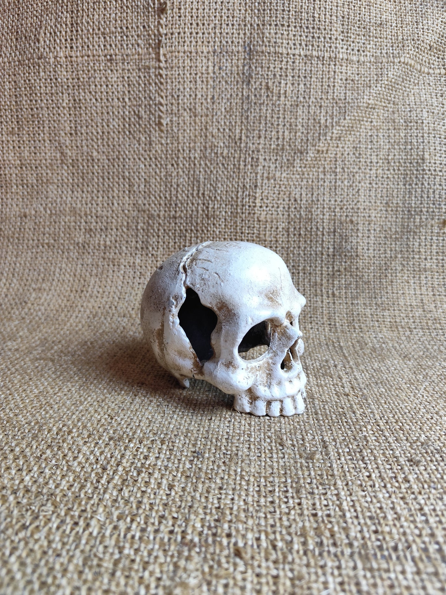 Skull Candle Holder