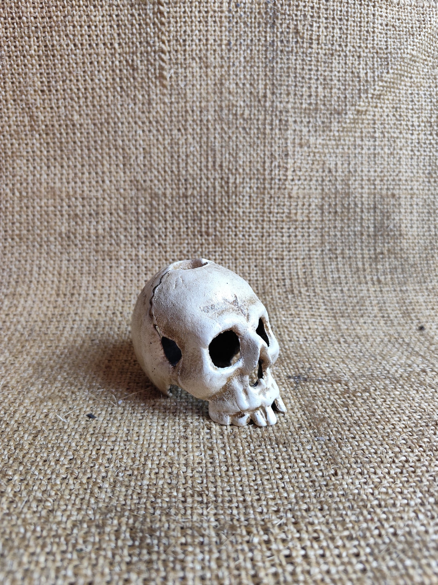 Skull Candle Holder
