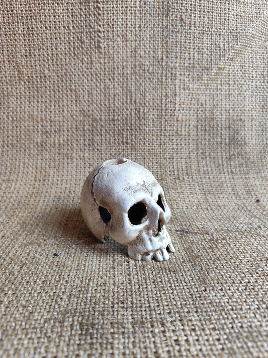 Skull Candle Holder