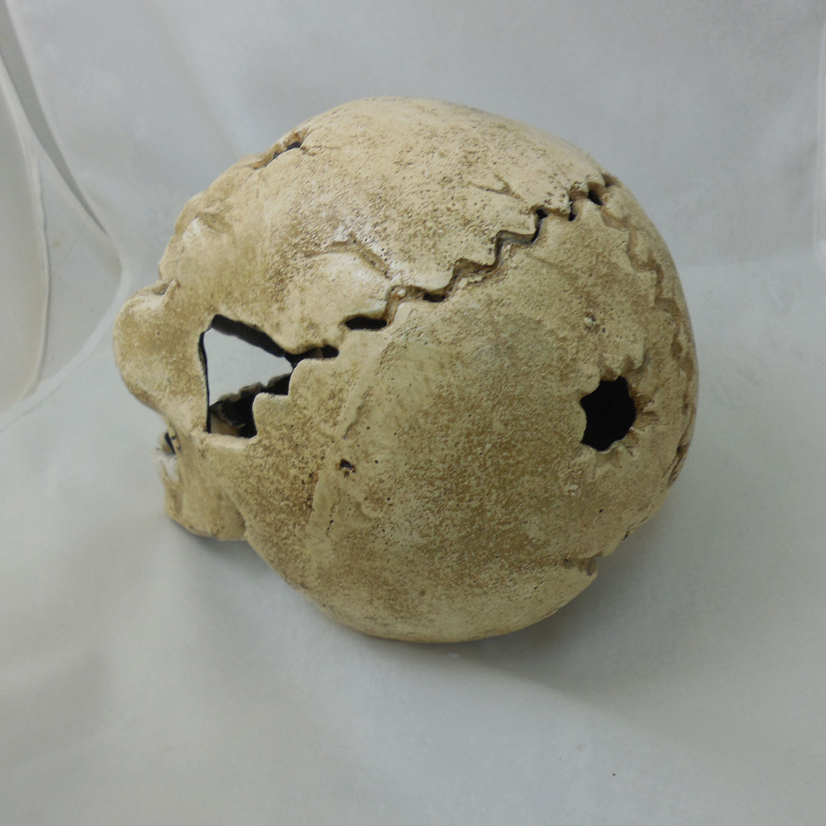 Large Skull