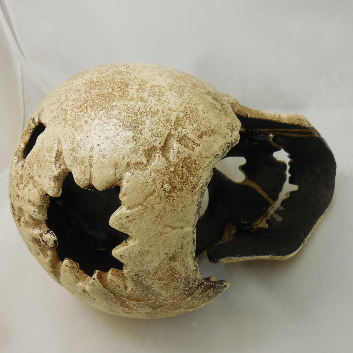 Large Skull
