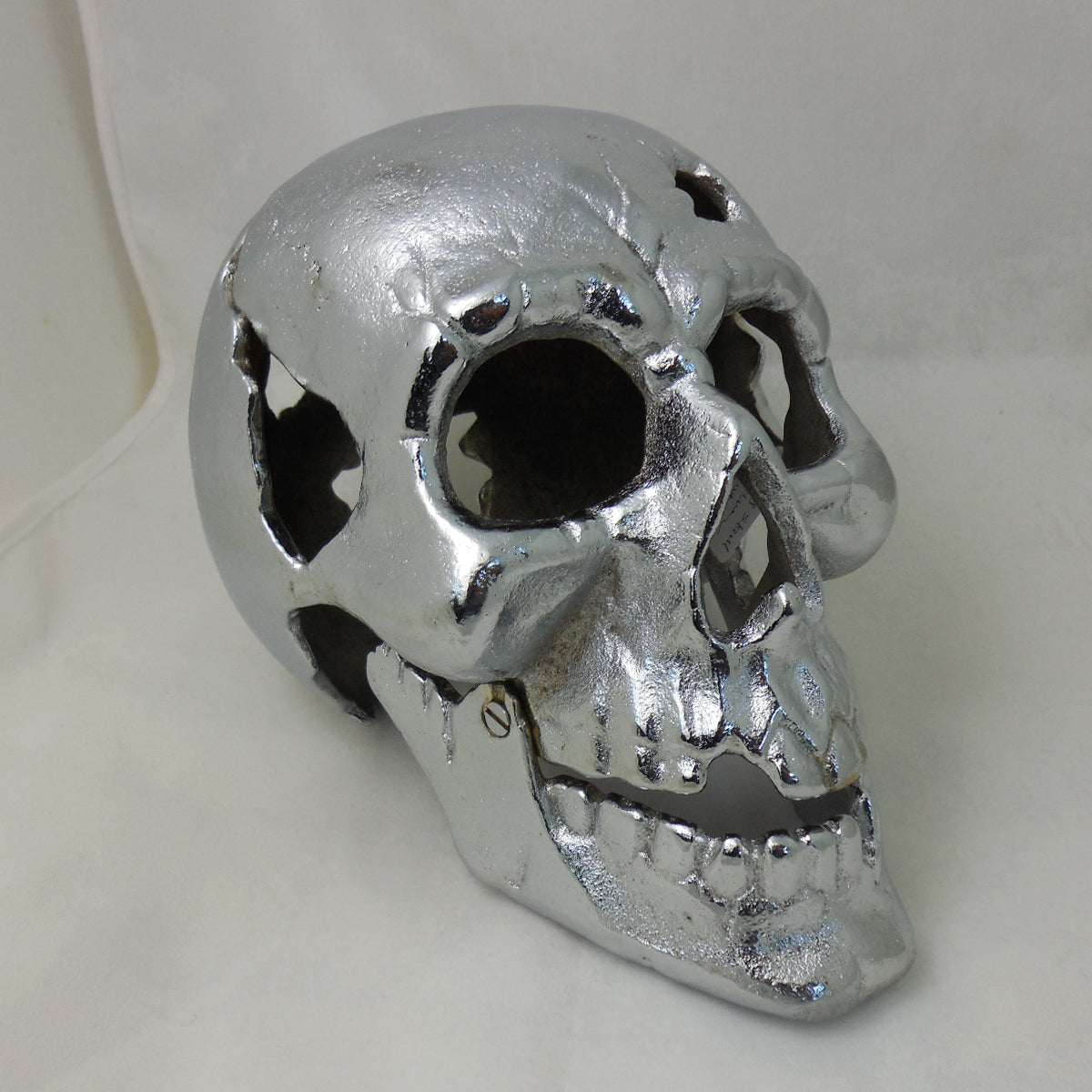 Large Skull