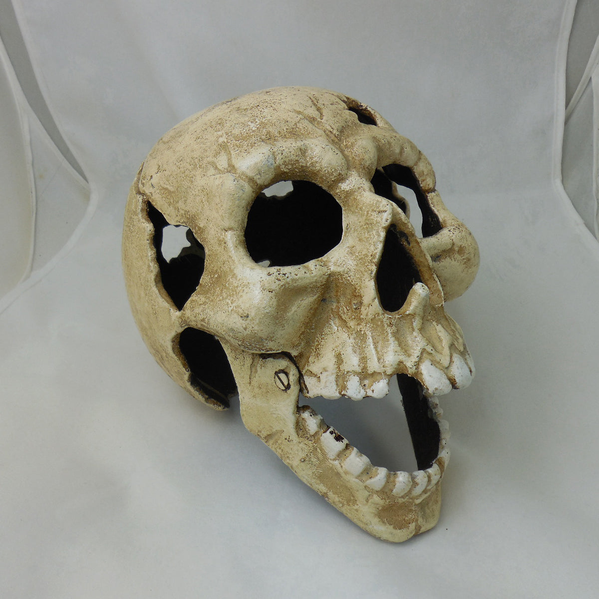 Large Skull