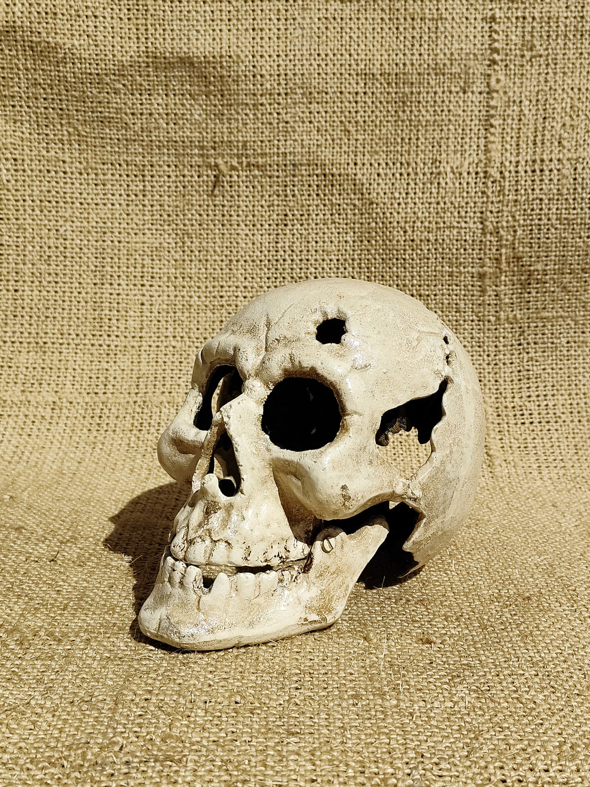 Large Skull
