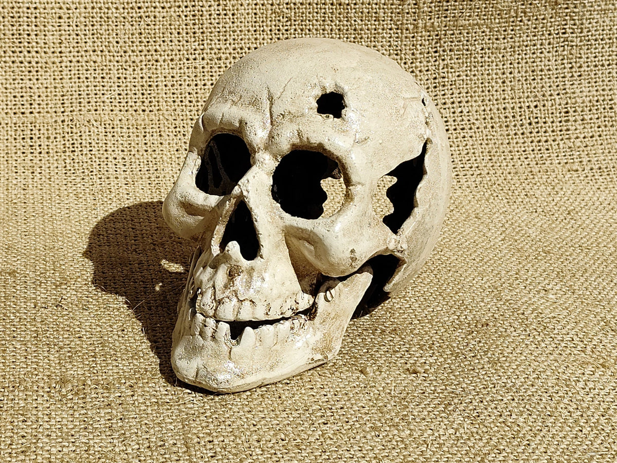 Large Skull