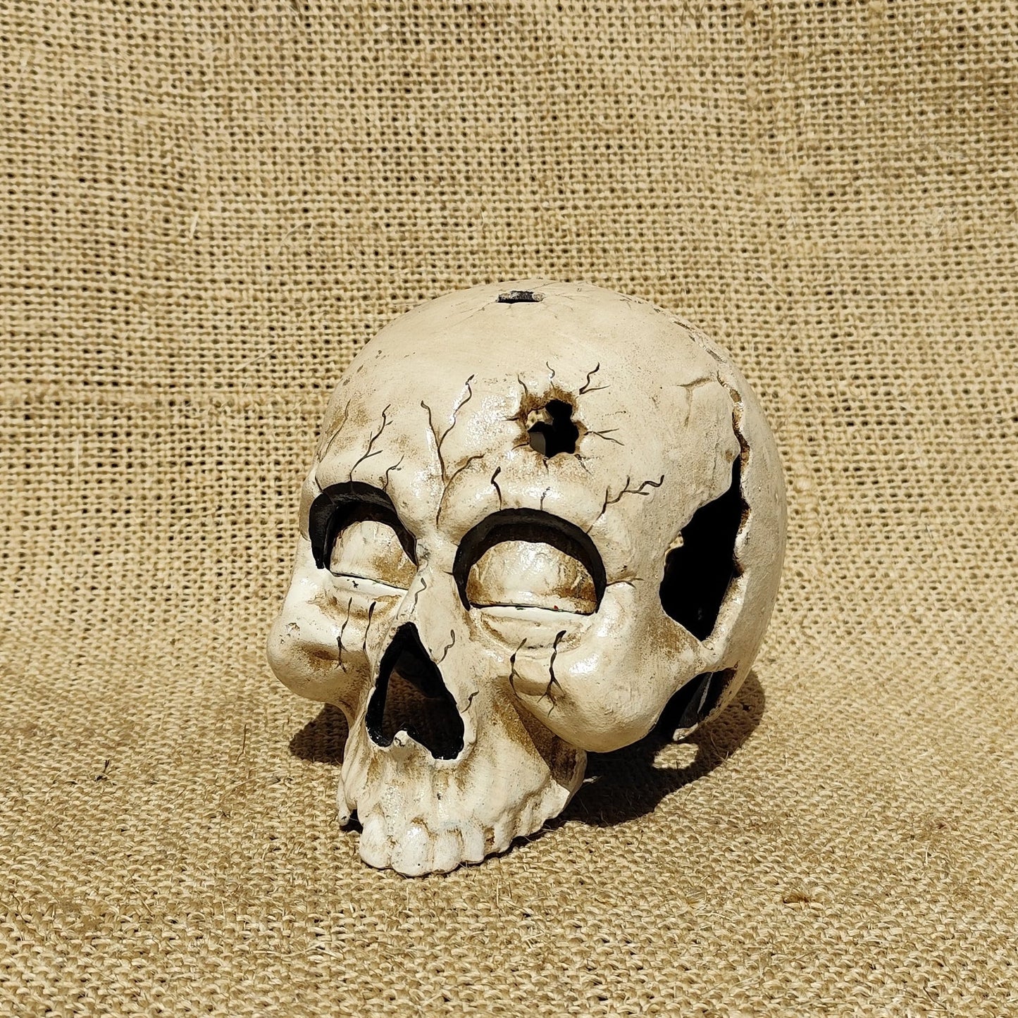 Skull and Sword