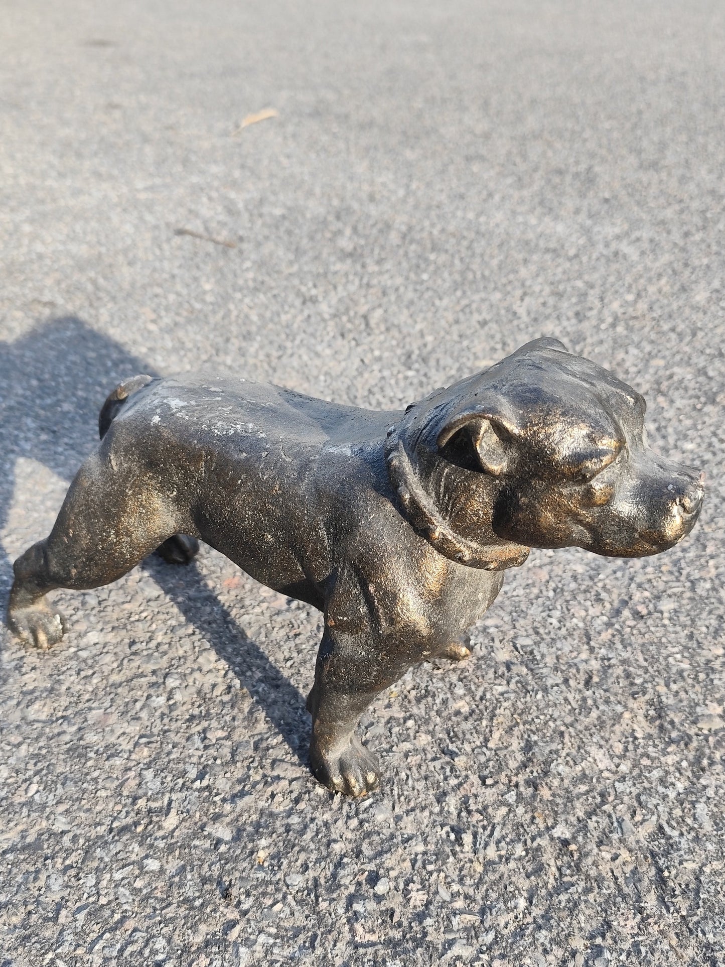Staffi the Pitbull 33cm