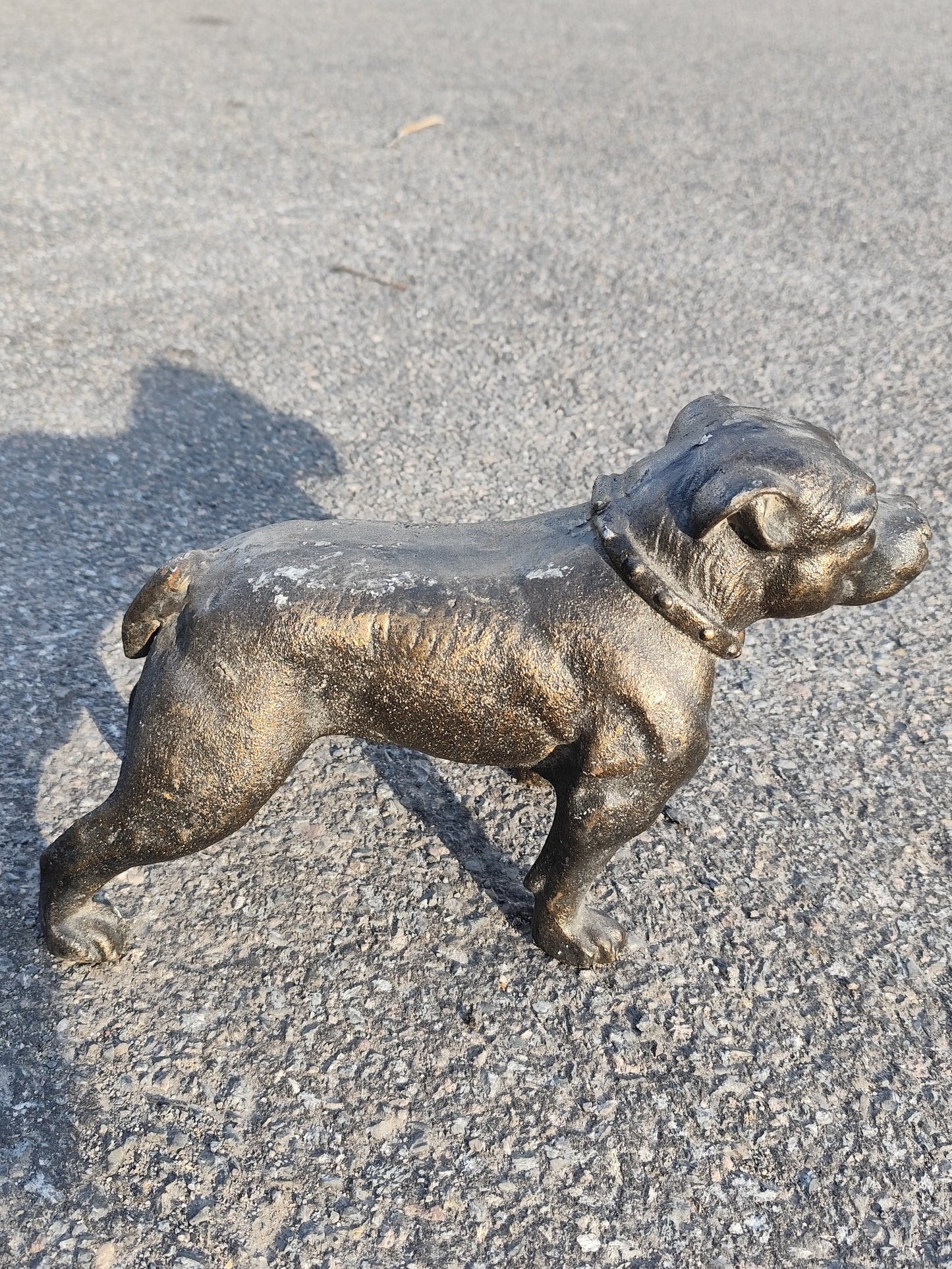 Staffi the Pitbull 33cm