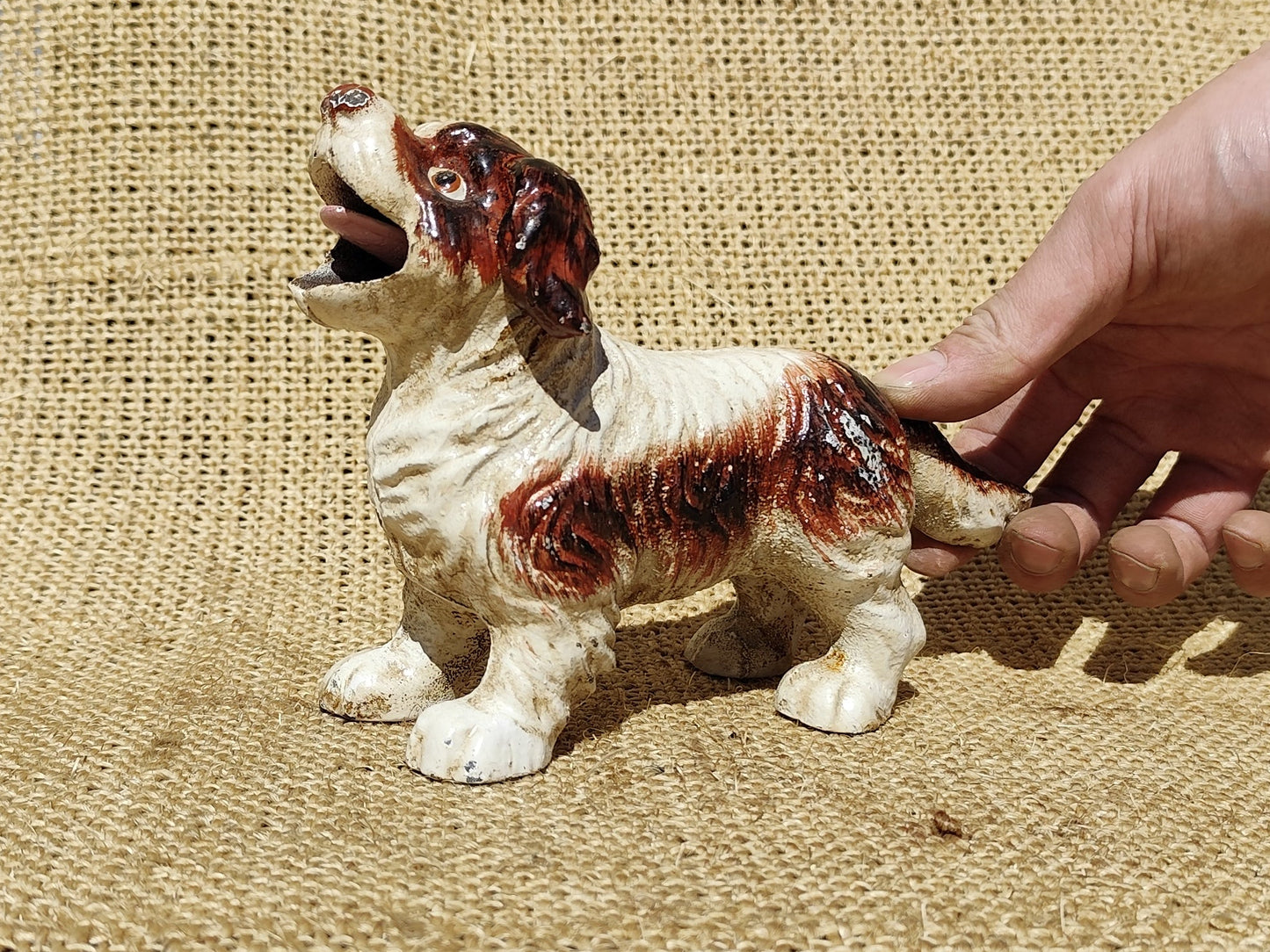 Dog Eat Coin Bank
