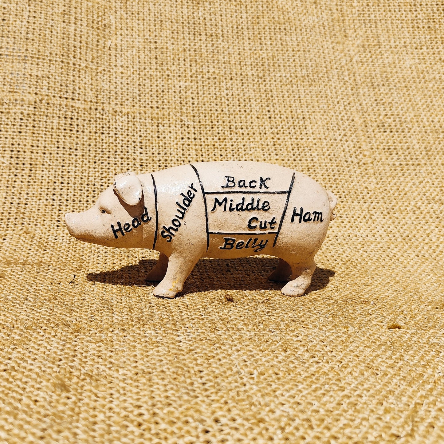 Dissecting Pig Bank - Mason's Meat Market