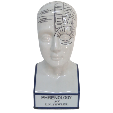 Phrenology Head Blue Rim