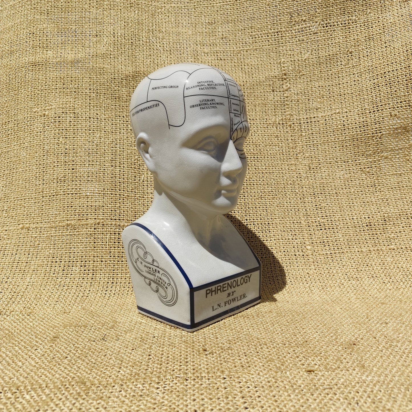 Phrenology Head Blue Rim