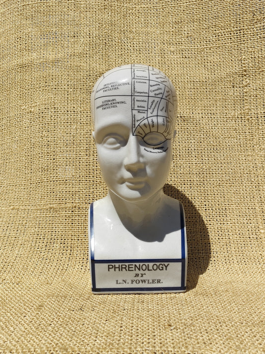 Phrenology Head Blue Rim